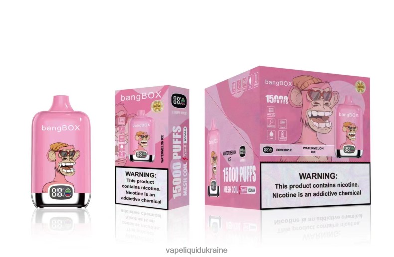 Pod System Vape - Bang Box 15000 Puffs Watermelon Ice 624T6B45