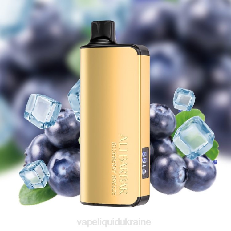 Vape Liquid Ukraine - Alibarbar Ingot 20000 Disposable Vape Blueberry Breeze F2VB32