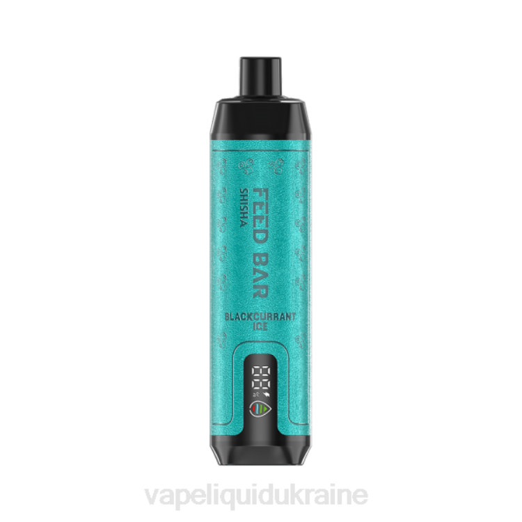 Vape Pod System - Vapsolo SHISHA Disposable Vape Blackcurrant Ice F2VB114