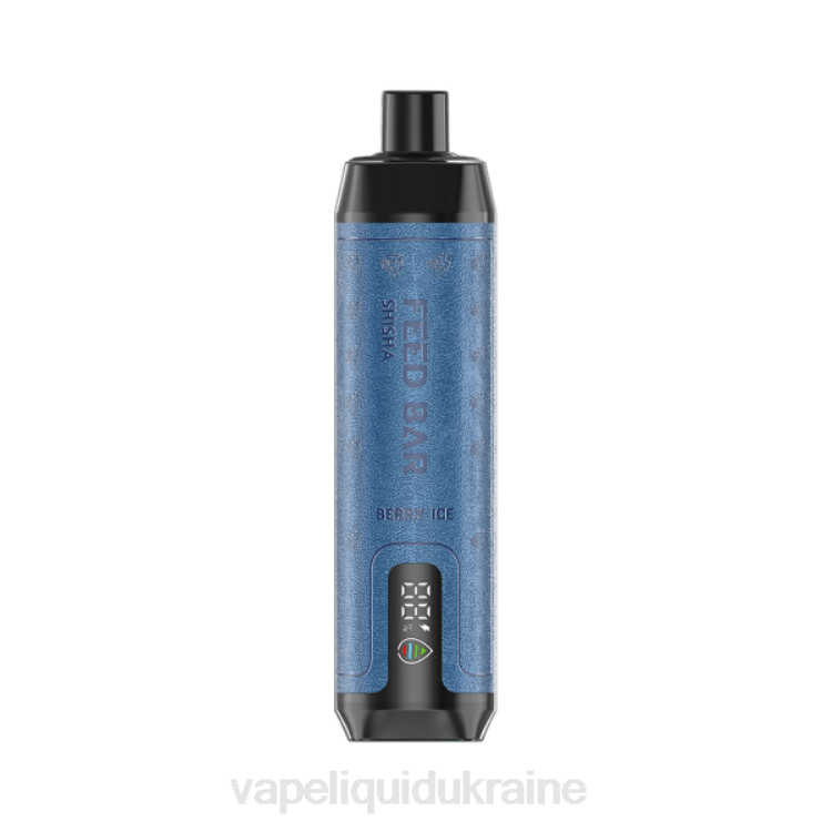 Vape Shop Київ - Vapsolo SHISHA Disposable Vape Berry Ice F2VB113