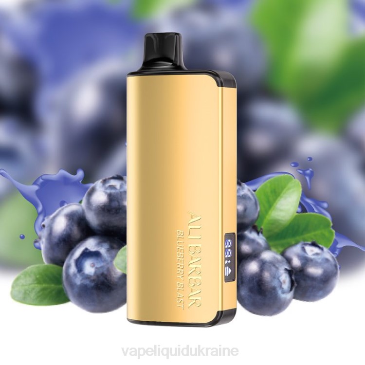 Vape Ukraine - Alibarbar Ingot 20000 Disposable Vape Blueberry Blast F2VB31