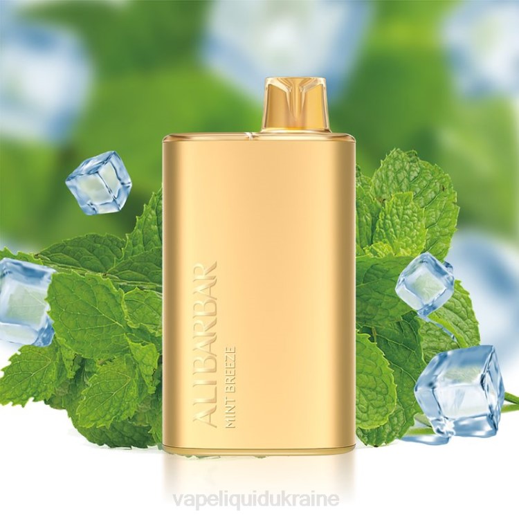 Vape Shop Київ - Alibarbar Rich 8000 Disposable Vape Mint Breeze F2VB8