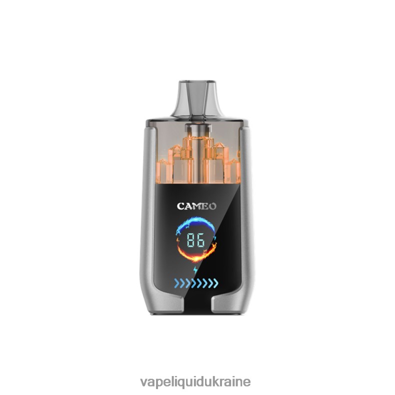 Pod System Vape - LAVIE CAMEO 30000 Puffs Blueberry Ice 004L4N15