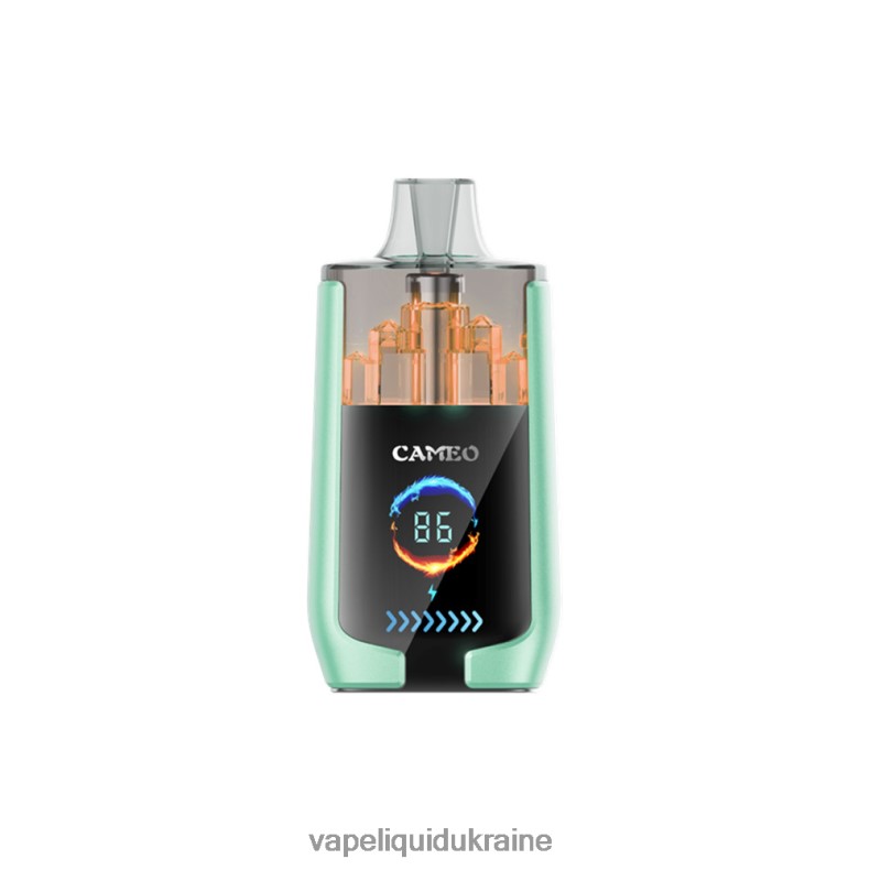 Pod System Vape - LAVIE CAMEO 30000 Puffs Double Apple 004L4N20