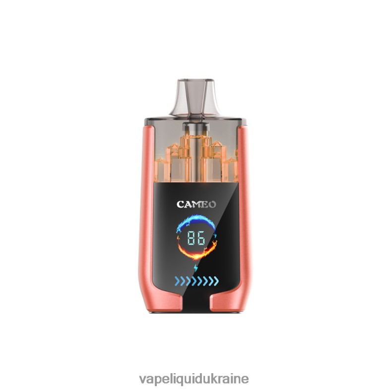 Vape Pod System - LAVIE CAMEO 30000 Puffs Strawberry Watermelon 004L4N24