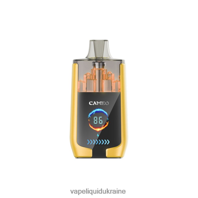 Vape Ukraine - LAVIE CAMEO 30000 Puffs Mango Ice 004L4N21