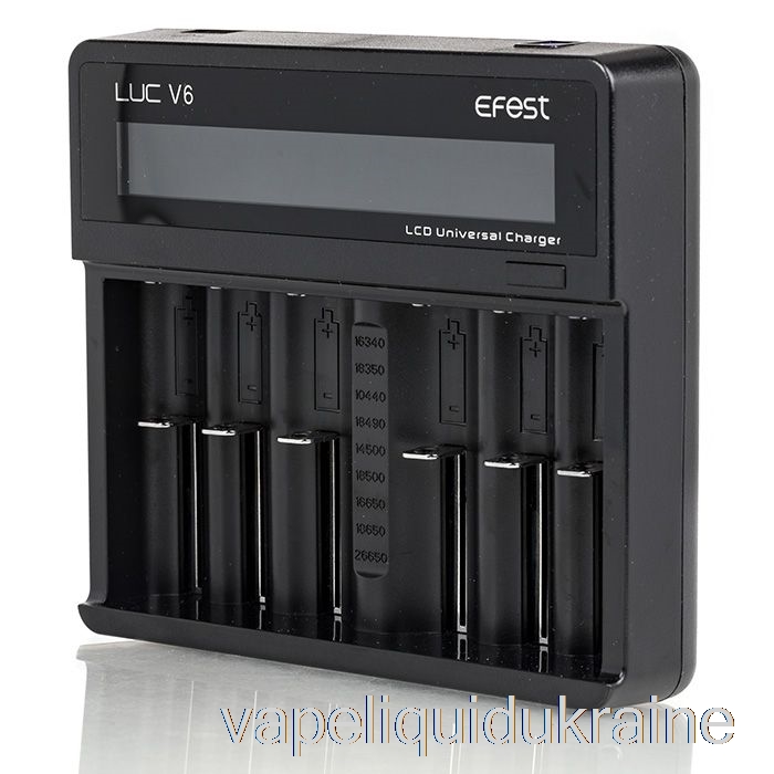Vape Liquid Ukraine Efest LUC V6 6-Bay LCD Universal Charger